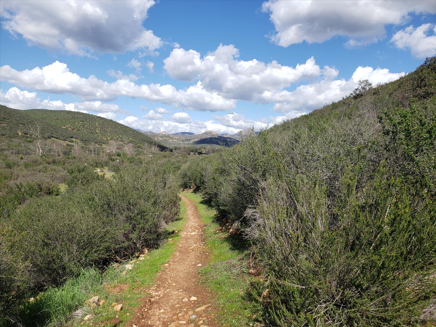 Sycamore Canyon Trail Races